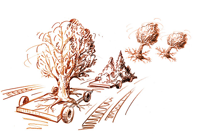 Illustrationen für die Broschüre ©Frank Engel, Programm-Ringbuch der Naturschule Aggerbogen Auftraggeber: Stadt Lohmar Abb.: Naturillustrationen