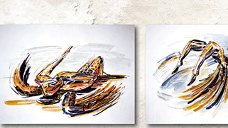 Kunstkaufhaus 2007/2011 Motive von Frank Engel